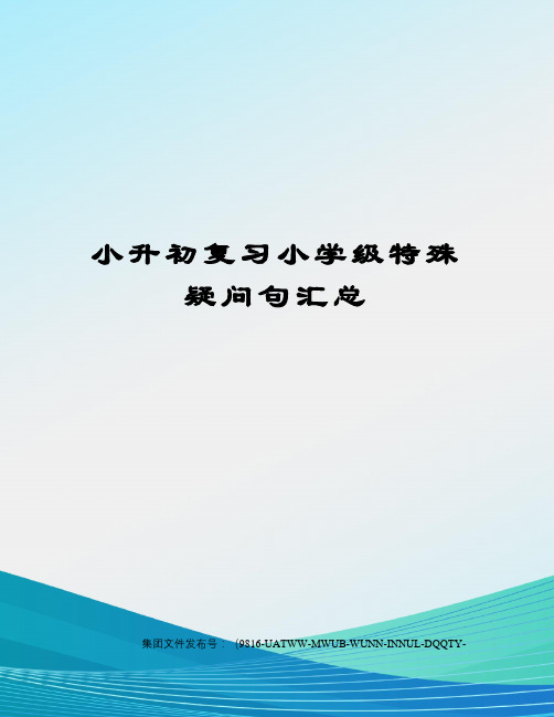 小升初复习小学级特殊疑问句汇总图文稿