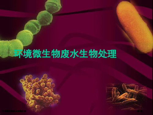 环境微生物废水生物处理