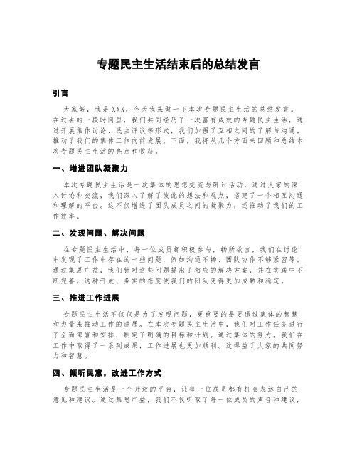 专题民主生活结束后的总结发言