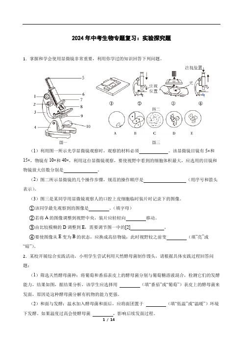 2024年中考生物专题复习：实验探究题