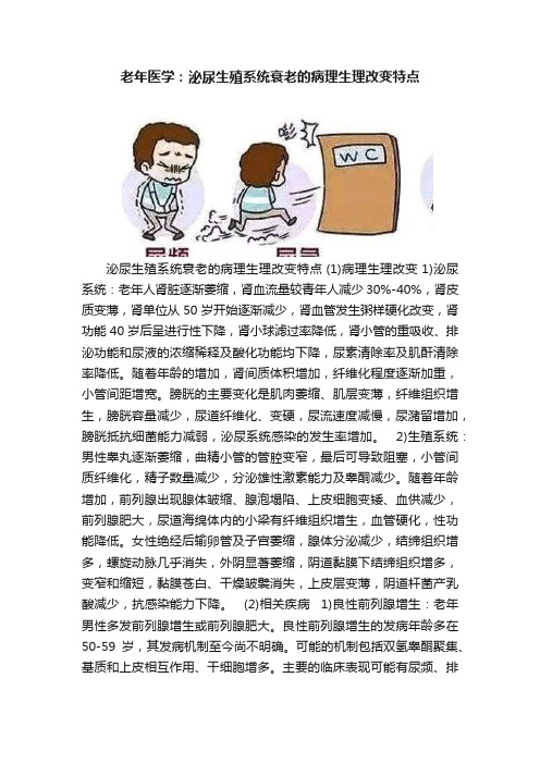 老年医学：泌尿生殖系统衰老的病理生理改变特点