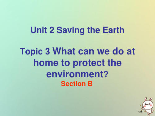 九年级英语上册Unitt-2-Saving-the-Earth-Topic-3-What-can-w