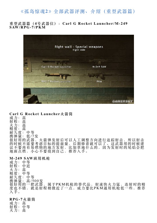 《孤岛惊魂2》全部武器评测、介绍(重型武器篇)