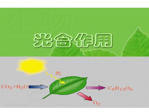 光合作用上课ppt