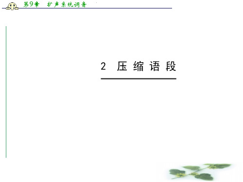 高中语文全程复习方略(第一轮)教师用书配套课件 4.4.2