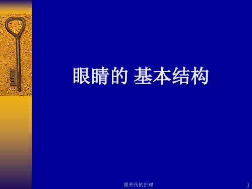 眼外伤的护理课件