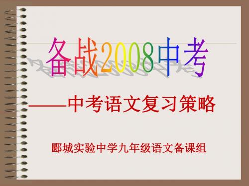 2008郾城实验中学中考语文复习策略(主)