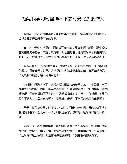 描写我学习时坚持不下去时光飞逝的作文