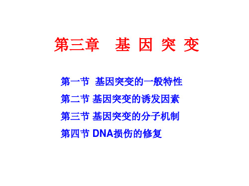 医学遗传学课件：03 第三章 基因突变