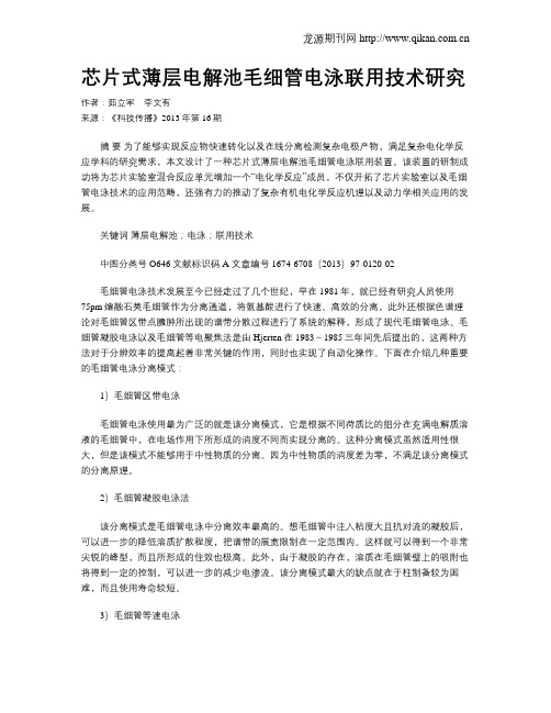 芯片式薄层电解池毛细管电泳联用技术研究