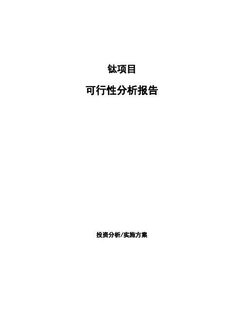 钛项目可行性分析报告