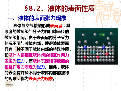 液体的表面张力现象课件