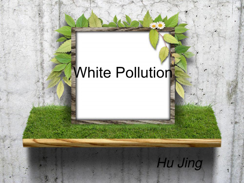 White-PollutionPPT课件