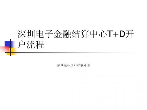 T D开户流程及软件使用