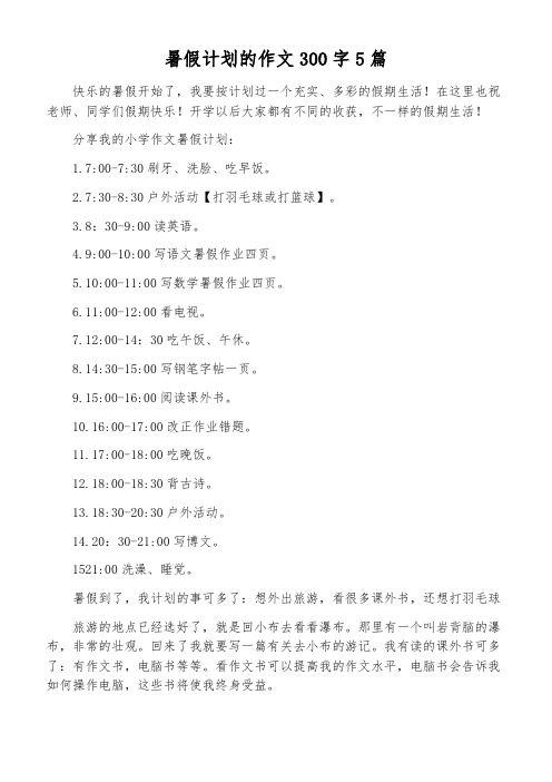 暑假计划的作文300字5篇
