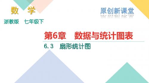 浙教版七年级数学下册课件：6.3 (共18张PPT)