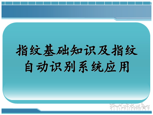 指纹基础知识 ppt课件