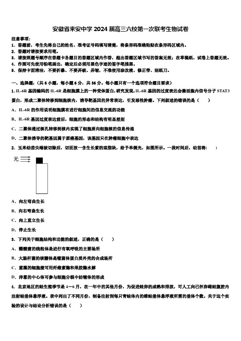 安徽省来安中学2024届高三六校第一次联考生物试卷含解析