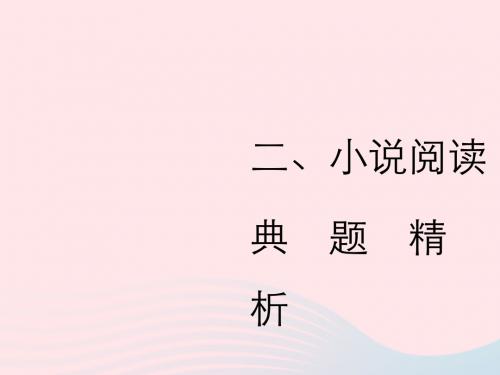 2019年中考语文复习第二部分现代文阅读专题一文学作品阅读(散文小说)小说阅读习题课件