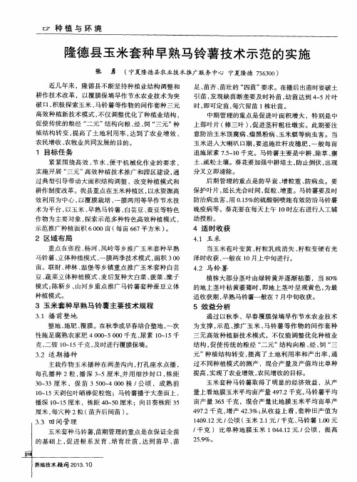 隆德县玉米套种早熟马铃薯技术示范的实施