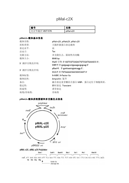 pMal c X大肠杆菌表达载体说明