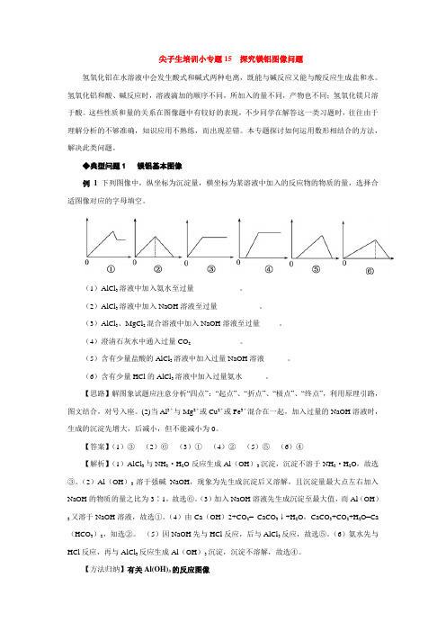 尖子生培训小专题15  探究镁铝图像问题