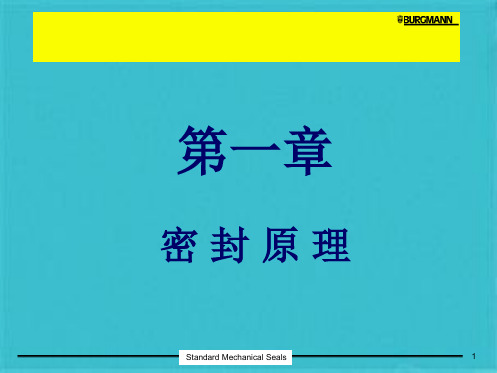 机械密封介绍(共90张PPT)