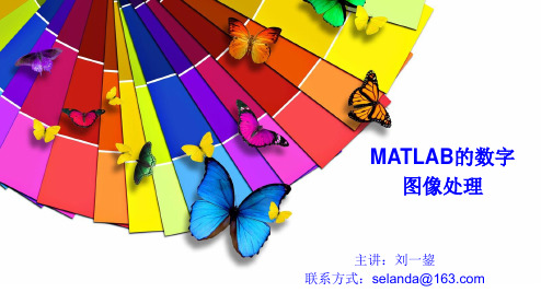 MATLAB的数字图像处理