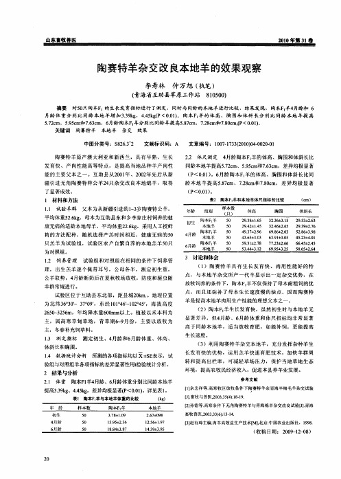 陶赛特羊杂交改良本地羊的效果观察