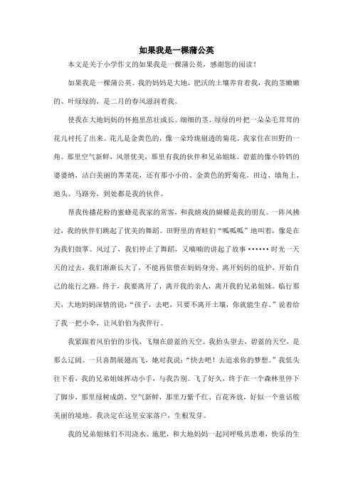 如果我是一棵蒲公英_小学作文