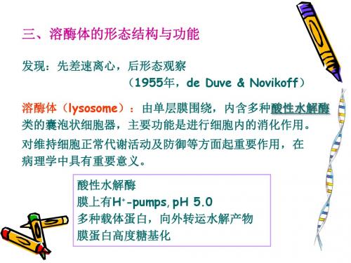 细胞生物学7.2