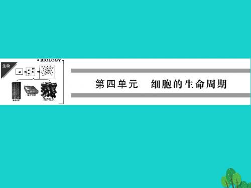 [精品课件]201x年高中生物 第四单元 细胞的生命周期 第一章 细胞的增殖与分化 4.1.1 细胞的增殖课件 中图