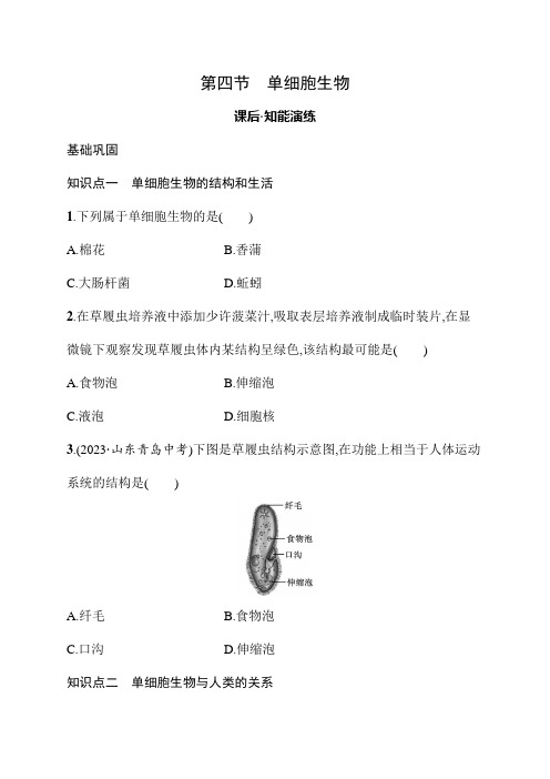 1.3.4单细胞生物同步练习(含答案)人教版(2024年版)生物七年级上册