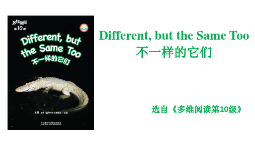 多维阅读第10级—Different, but the Same Too 不一样的它们