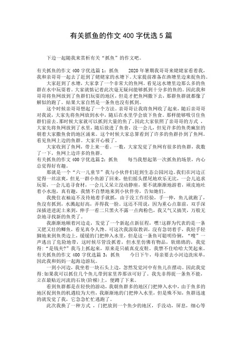 有关抓鱼的作文400字优选5篇