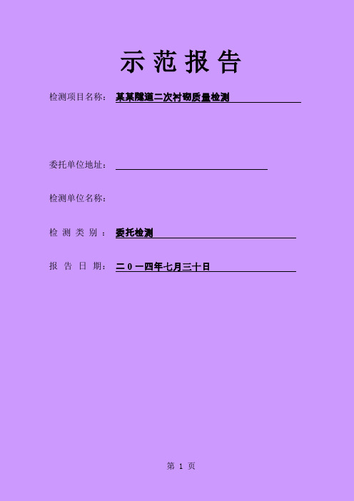 某隧道二衬检测报告范本11页