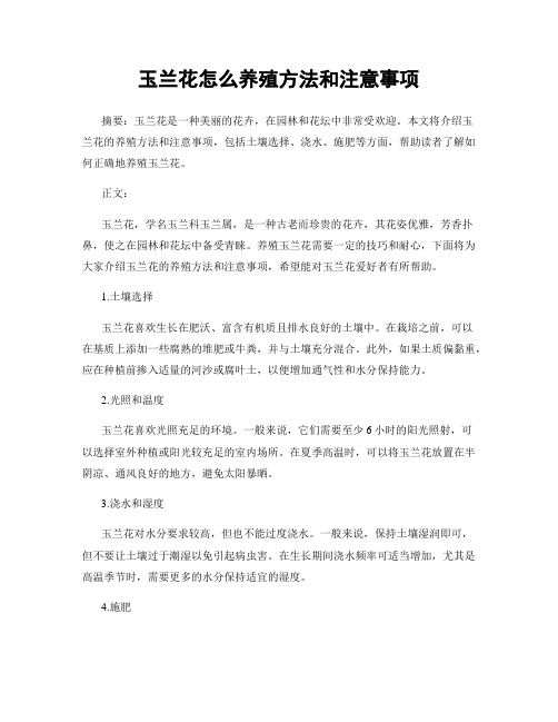 玉兰花怎么养殖方法和注意事项