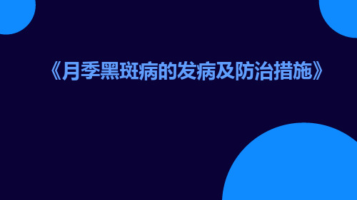 月季黑斑病的发病及防治措施