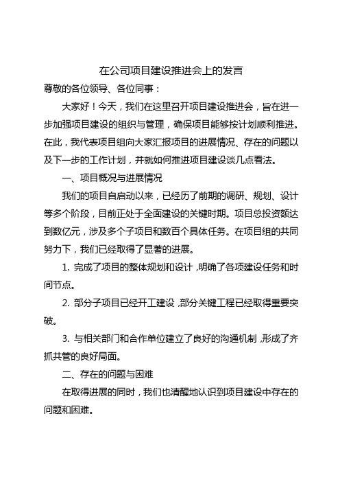 在项目建设推进会上的发言