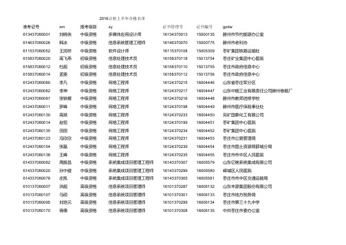 2016年计算机软件上