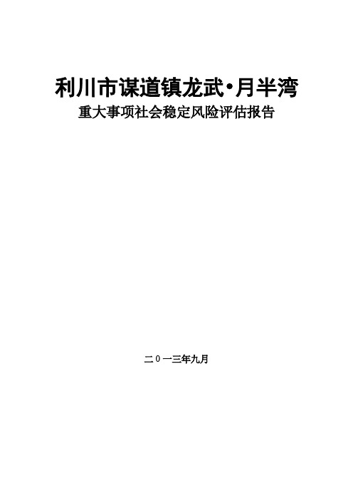 重大事项社会稳定风险评估报告