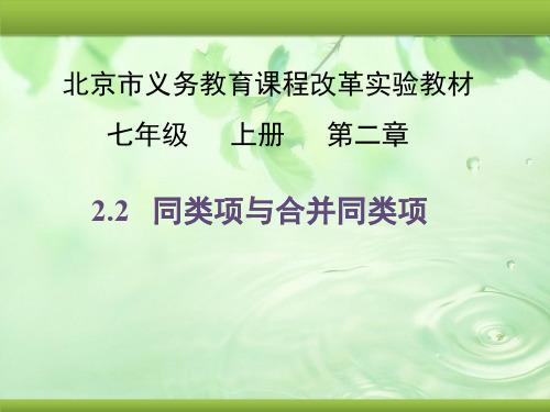 北京课改版 2.2 同类项与合并同类项 课件(29张ppt)