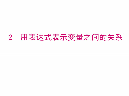 鲁教版六年级下册数学课件 用表达式表示变量之间的关系