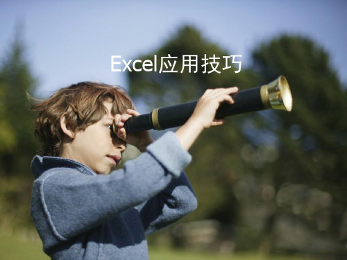 Excel常用制图技巧