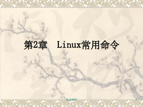 《Linux常用命令》PPT课件