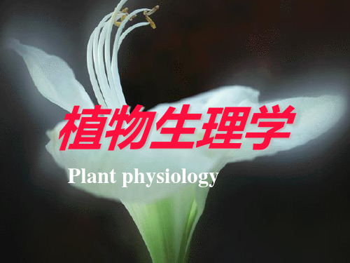 植物生理学 绪论