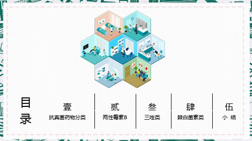 特殊使用级抗菌药物讲解抗真菌药物培训讲座课件PPT模板