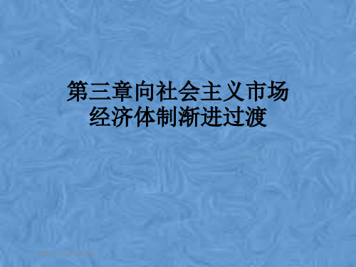 第三章向社会主义市场经济体制渐进过渡