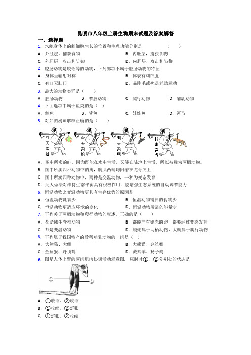 昆明市八年级上册生物期末试题及答案解答