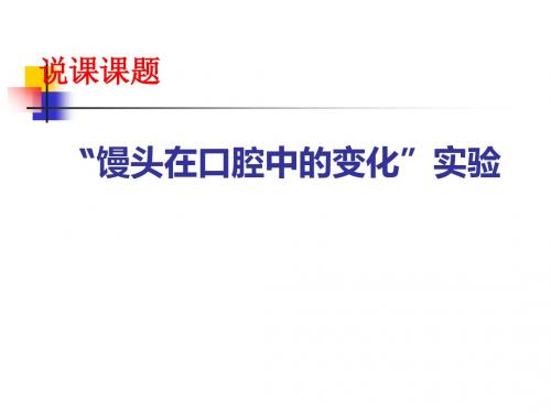 人教版七年级下册生物第二章第一节食物中的营养物质馒头在口腔中的变化(共15张PPT)(共15张PPT)